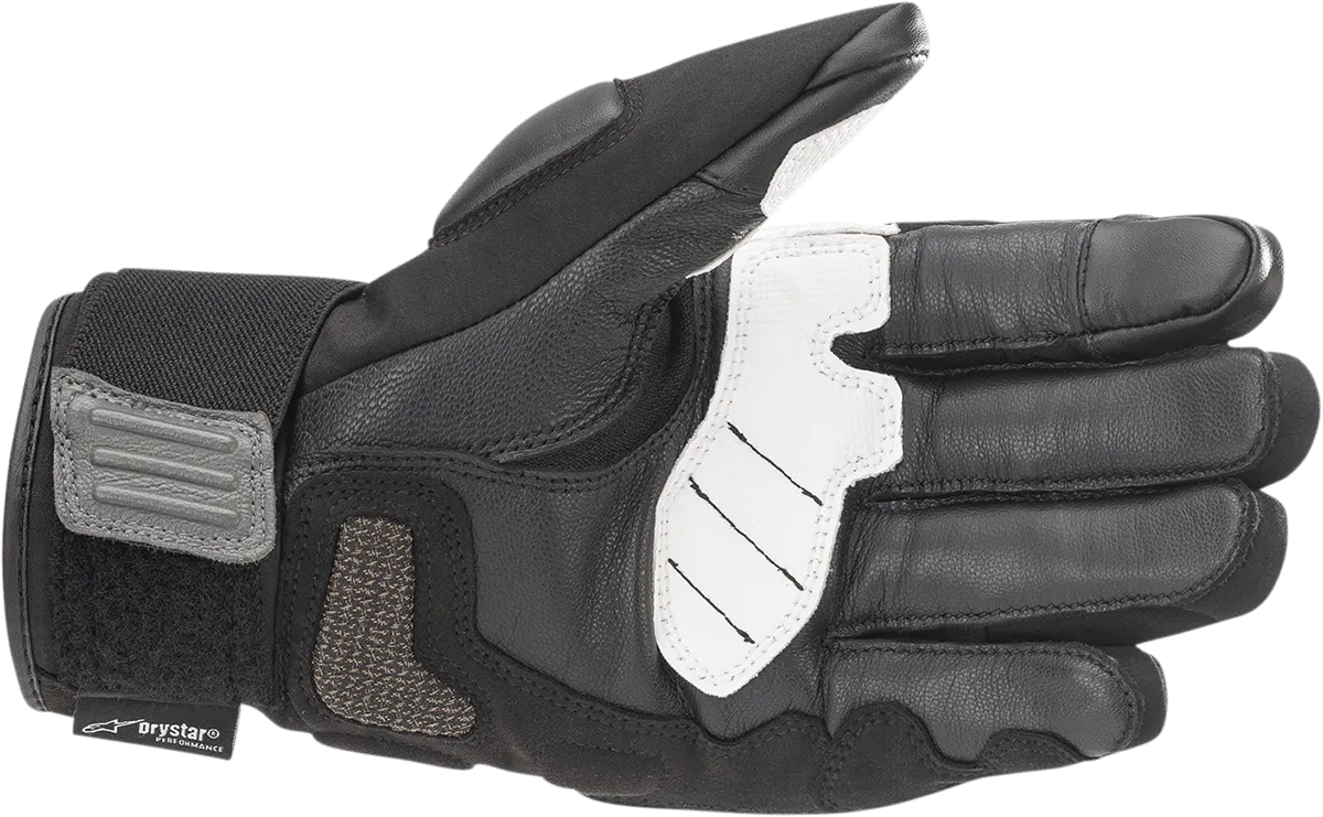 ALPINESTARS Corozal V2 Gloves - Black/Gray - Medium 3525821-102-M