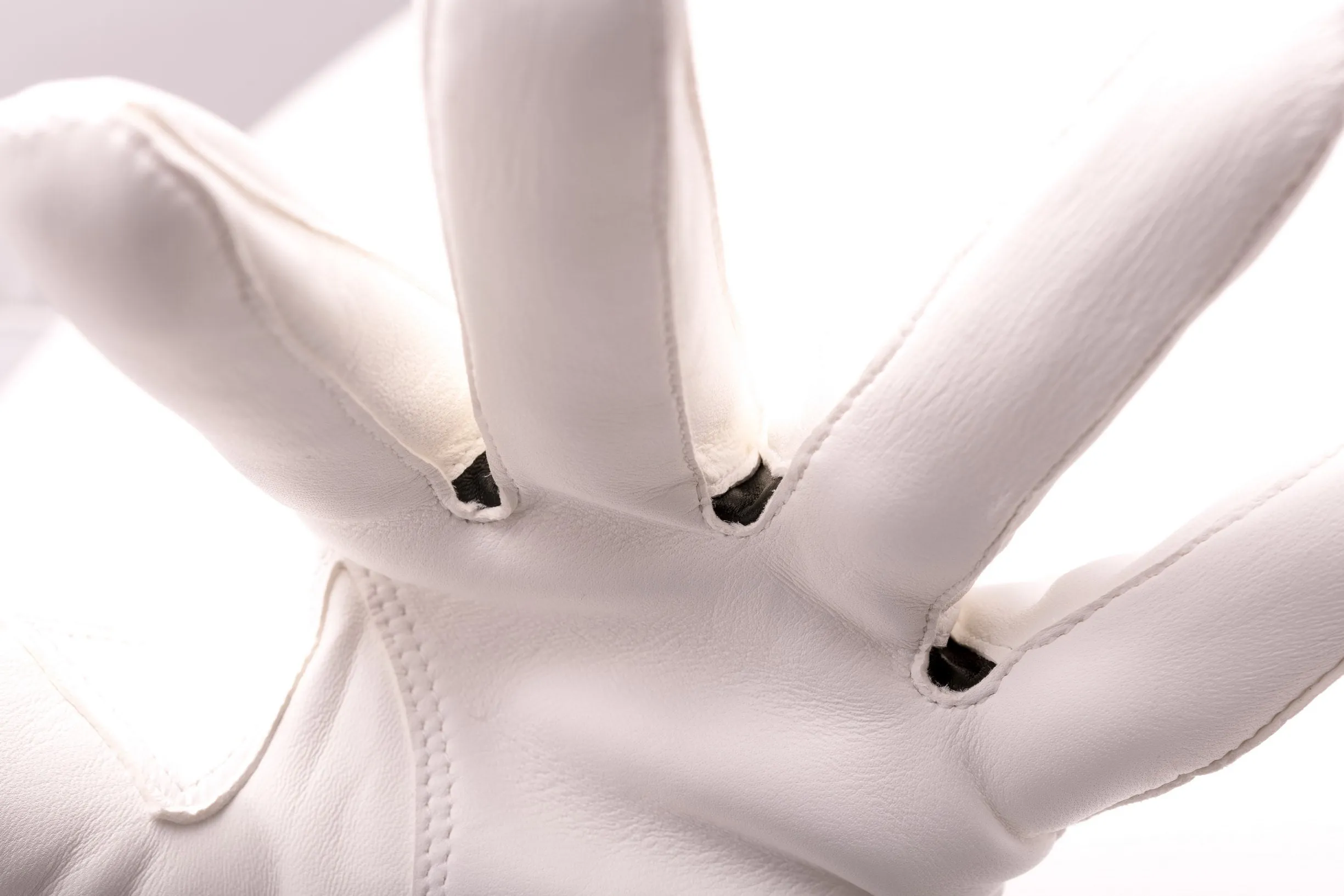 White Unlined Lamb Nappa Evening Dress Gloves